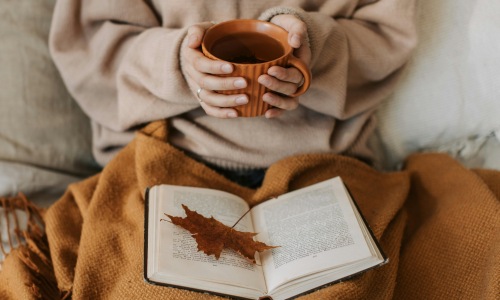 Learn more about FLATZ 623 Cover Image