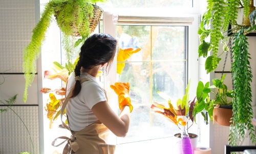 woman cleaning window with yellow gloves and greenery surrounding her